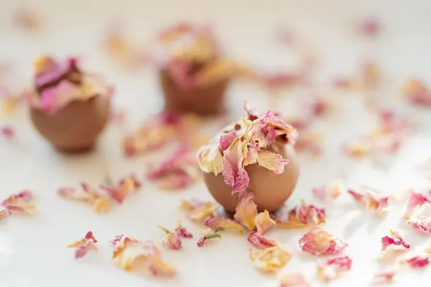 로토킹스 카지노 안드로이드/iOS 앱